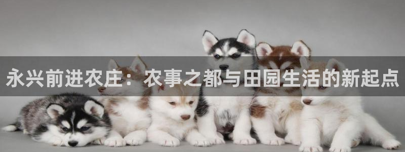 天辰娱乐小妹