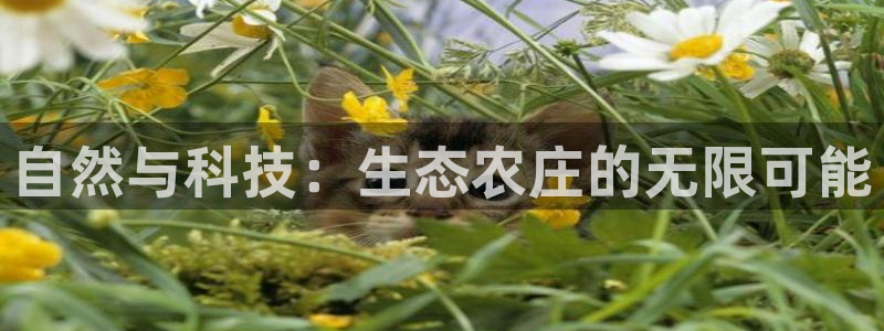 天辰娱乐娱乐注册