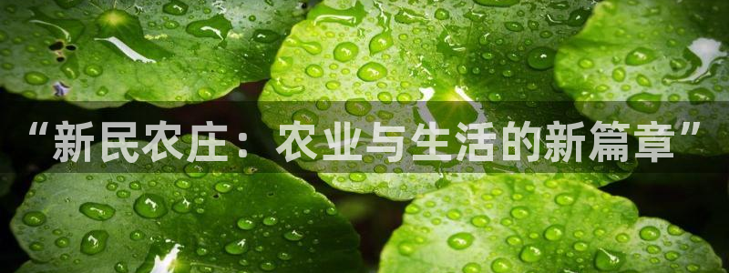 天辰娱乐测试