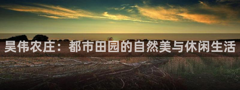 天辰娱乐彩票