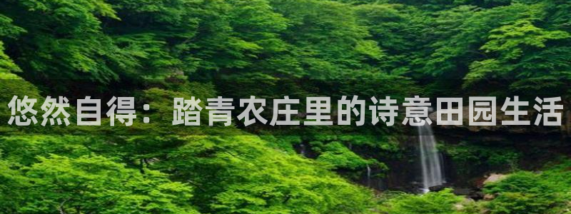天辰娱乐黑人