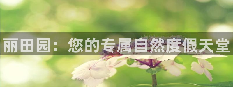 天辰娱乐天辰宝