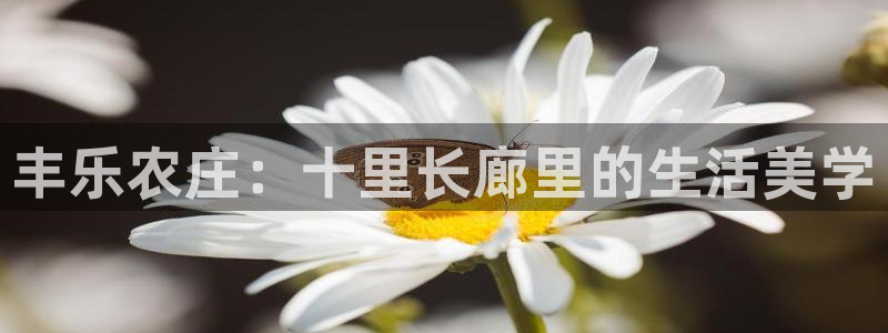 广东天辰娱乐