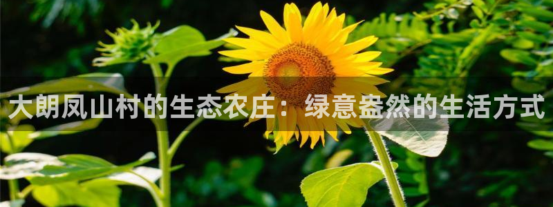 天辰水娱乐
