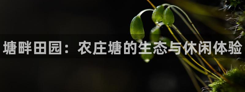 天辰娱乐反水
