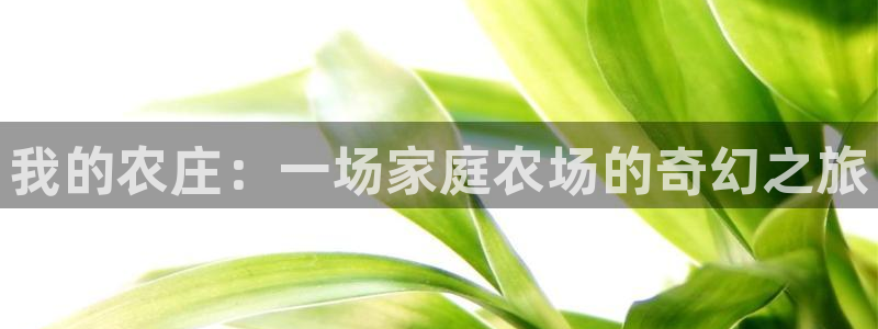 天辰娱乐总管年薪