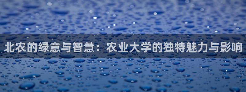 天辰娱乐论坛