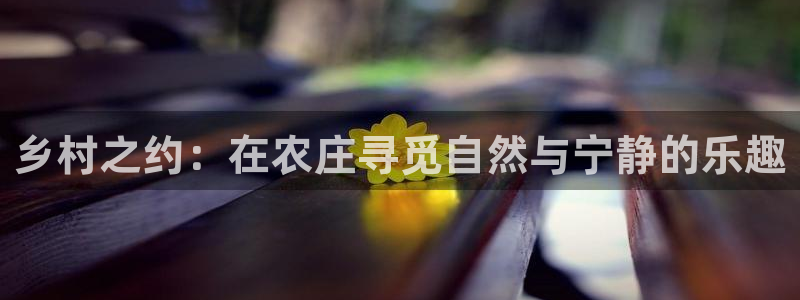 天辰娱乐视频