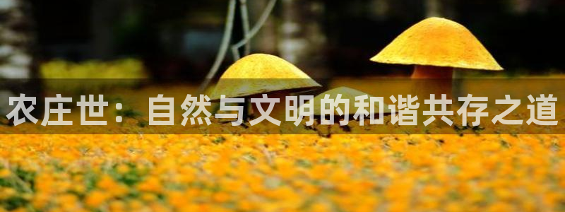 天辰娱乐