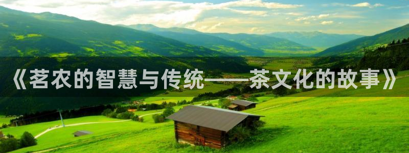 天辰娱乐平台入口