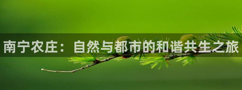 北京天辰娱乐