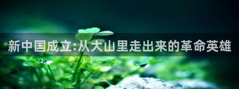 天辰娱乐股东