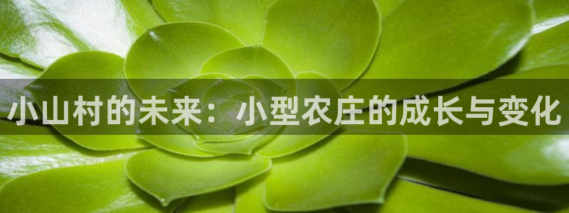 天辰娱乐登陆