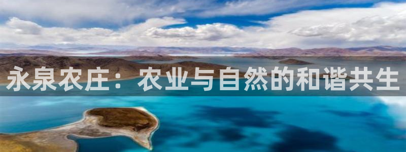 天辰娱乐2