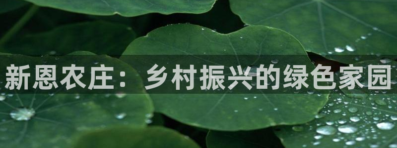 天辰娱乐新闻