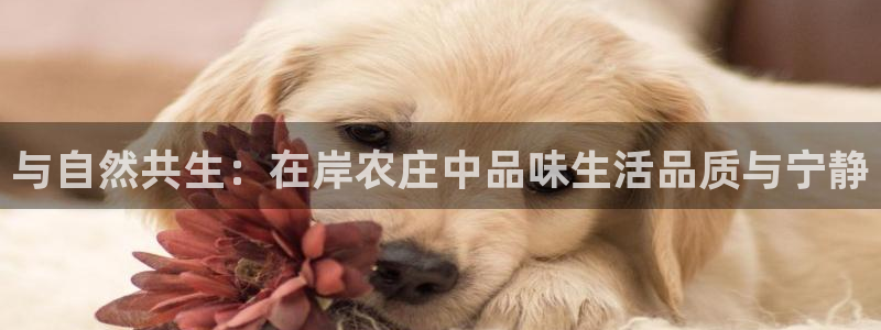 天辰娱乐游戏平台怎么样