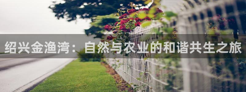 天辰宝娱乐