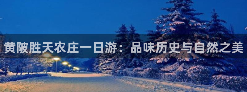 天辰娱乐台湾