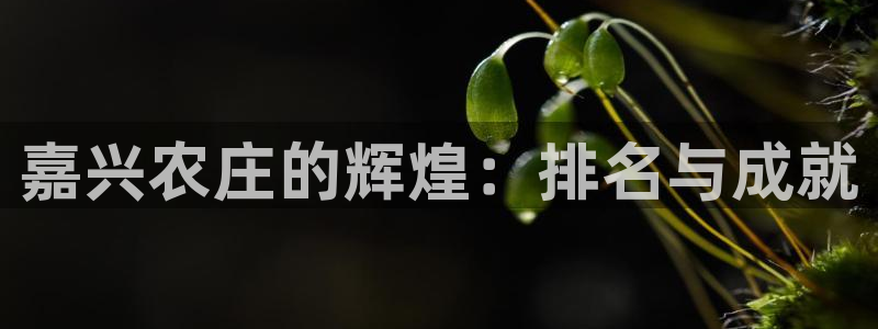 天辰娱乐557696