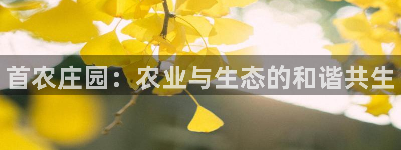 天辰娱乐注册登录