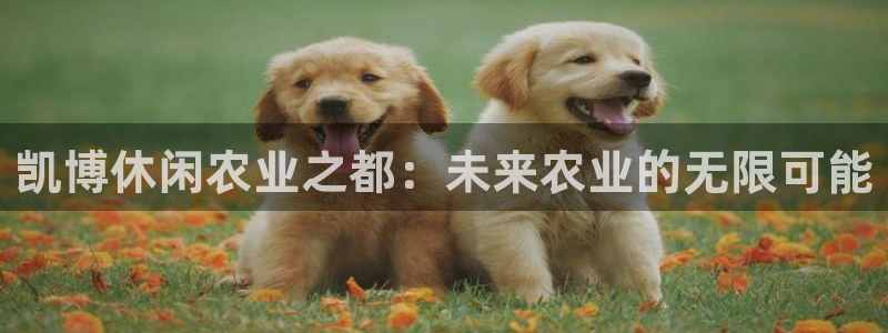 天辰娱乐天辰注册登录