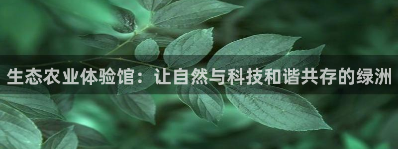 天辰娱乐维护