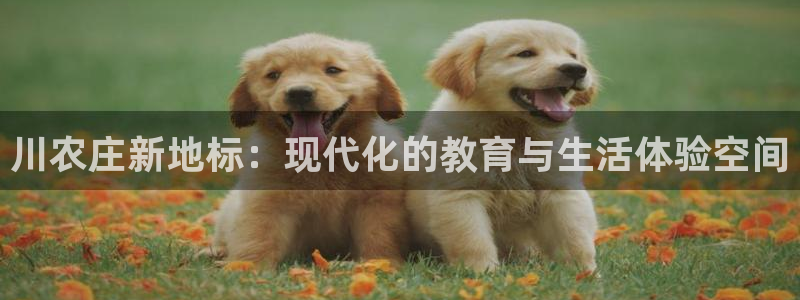天辰娱乐官网平台入口