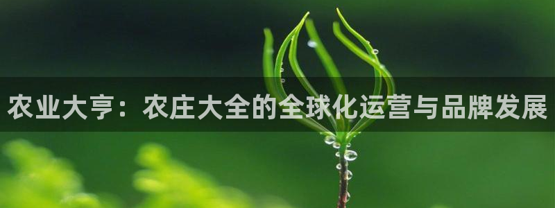 天辰娱乐平台娱乐注册