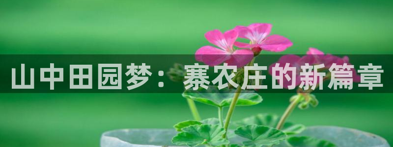 天辰娱乐官方登录下载