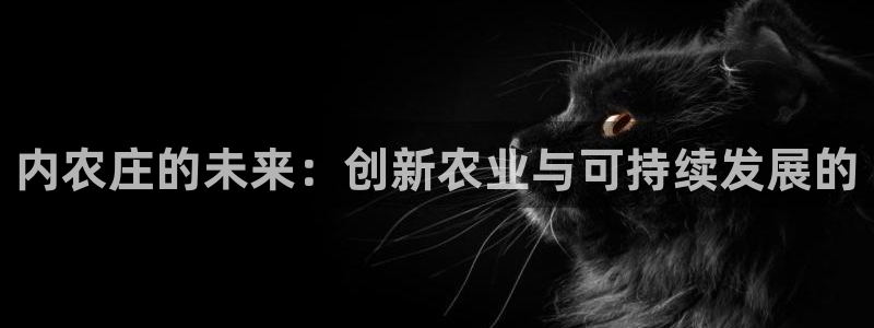 天辰娱乐地址