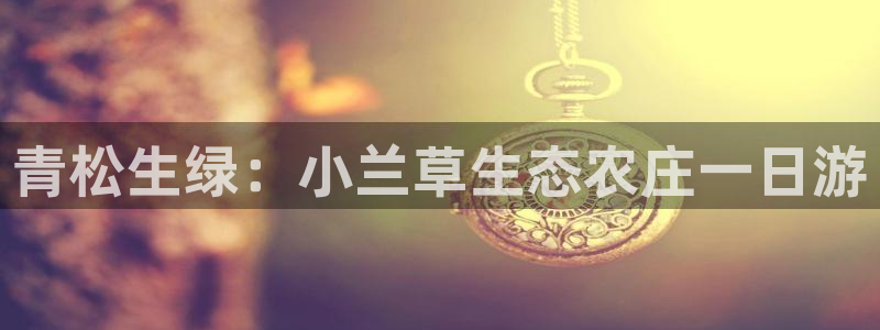 天辰娱乐分红