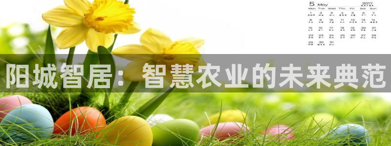天辰娱乐国际