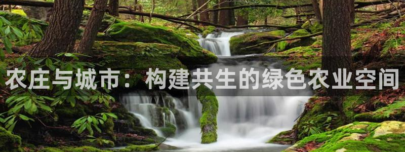 天辰娱乐官方网