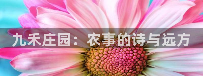 天辰娱乐官网平台下载