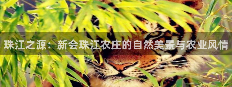 天辰娱乐官方登录下载