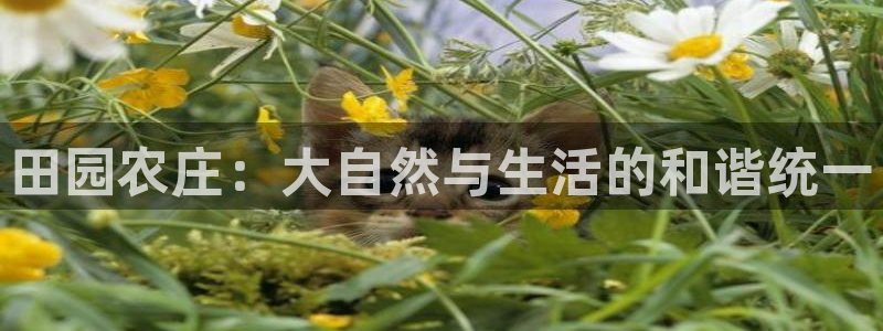 天辰娱乐best