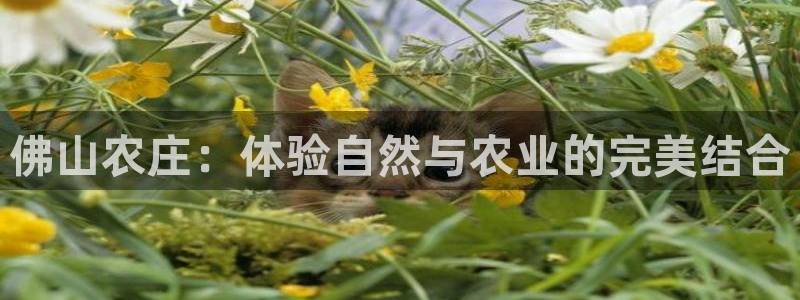 腾讯天辰娱乐