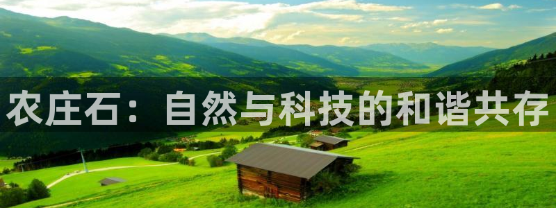 天辰娱乐游戏平台怎么样