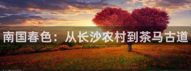 天辰娱乐测试