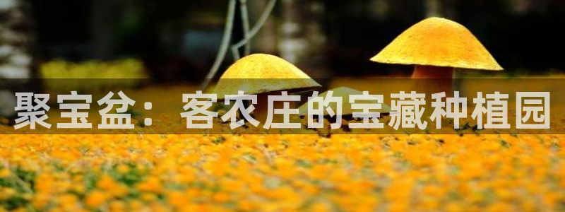 天辰娱乐官方网