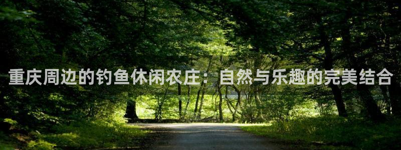 手机上怎么下载天辰娱乐