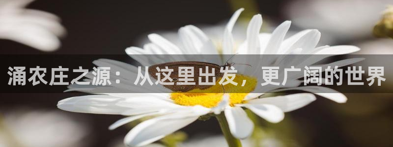 天辰娱乐会所