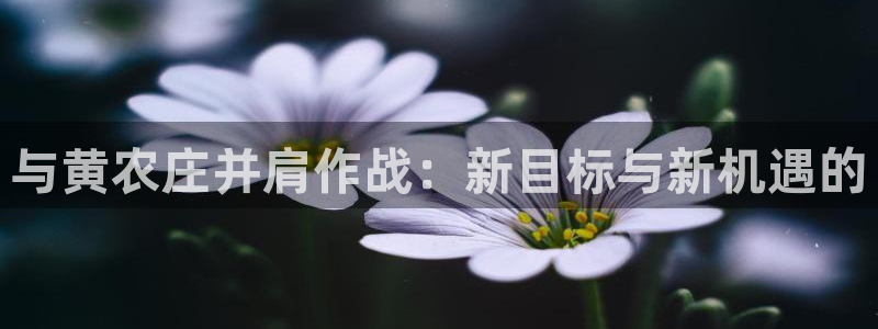天辰娱乐公司
