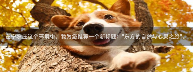 天辰娱乐白屏