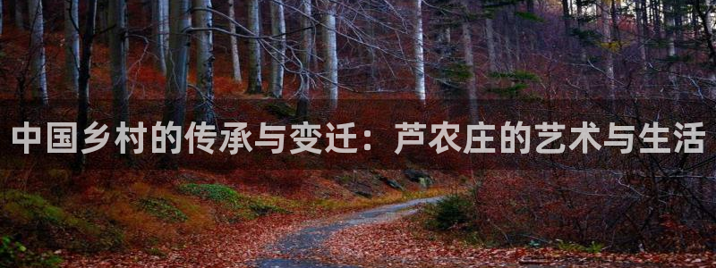 广东天辰娱乐