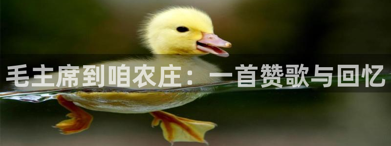 天辰娱乐测速