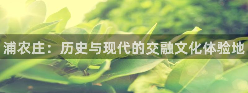 天辰娱乐连接