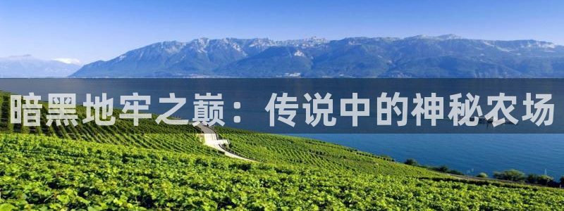 天辰娱乐的网址首页