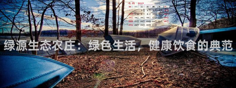 天辰娱乐跑的快