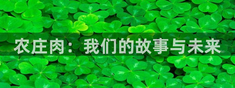 天辰娱乐天辰宝